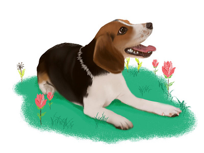 I Drew A Dog dog dog illustration draw flower grass happy illustration lay painting picture puppy