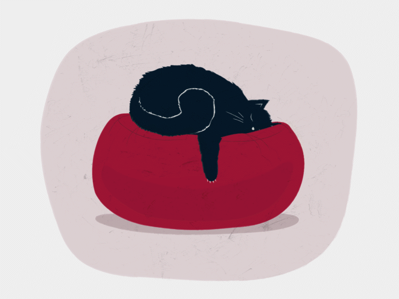 Sleepy Cat after effect animation cat animation cate character animation design digital illustration illustration illustrator cc loop animation loopdeloop motion animation motion design sleepy cat typography vector