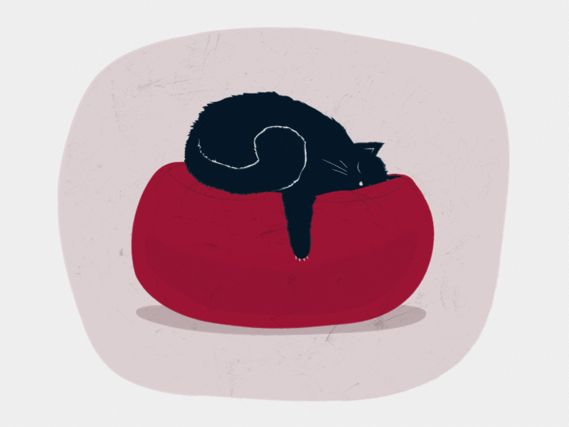 Sleepy Cat sleepy cat cate cat animation typography illustration vector loopdeloop motion animation illustrator cc digital illustration after effect motion design loop animation design character animation animation