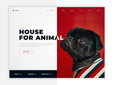 #1 House for animal (Red) animation branding character clean design flat identity lettering minimal type typography ui ux web website
