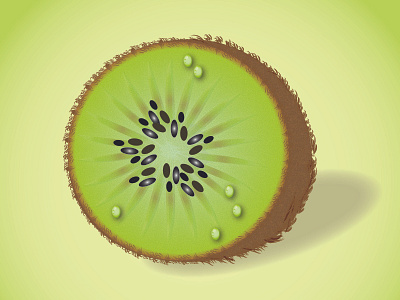 Kivi illustration vector