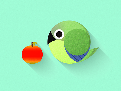 dusky headed conure & apple animal design flat icon illustration vector