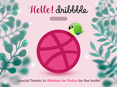 Hello, Hello, Dribbble! animal bird debut debuts debutshot design illustration invite vector