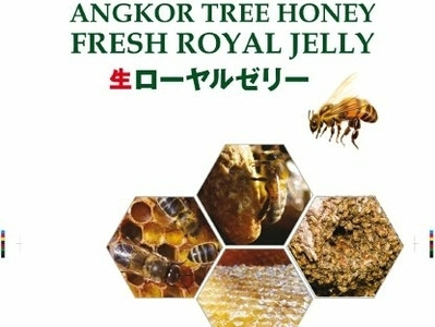 Honey Jelly Poster design illustration logo typography vector