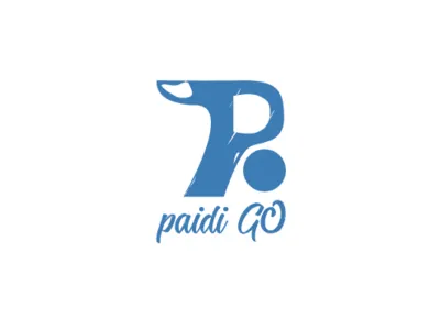 paidi go branding flat logo type typography