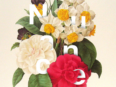 Nuance Flower V2 color design floral flower illustration lettering logo logotype nature nuance typography vegetal