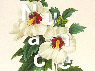Nuance Flower V2 brand branding color design floral flower illustration logo logotype nature typography vegetal