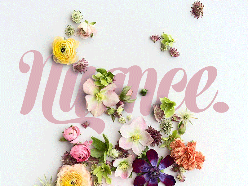 Nuance Flower V4 animation brand branding color design floral flower gif illustration logo logotype nature