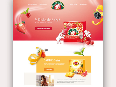 Elephant Refonte clean color flat form fruits home navigation tea ui ux web webdesign