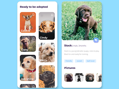 Adopt a puppy 🐶 adopt app appdesign design puppies ui