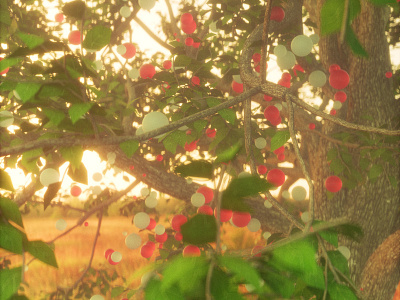 The End 3d art 3dmodeling cgi cherry cinema 4d motiondesign nature octane octanerender sunset