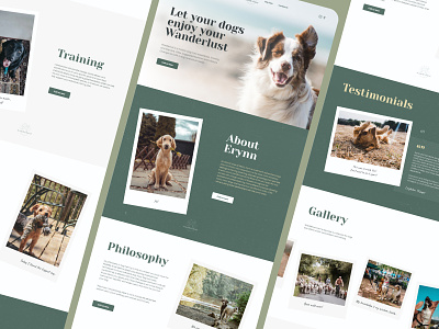 Doggy Day Care care day dog front landing page ui ux web