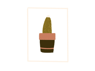 Cactus cactus design flat illustration plant procreate simple slogan