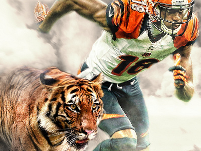 Cincinnati Bengals photo manipulation design digital art photomanipulation photoshop sports brand