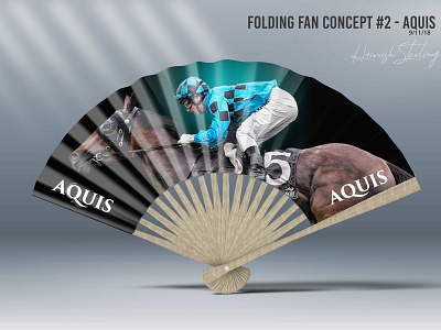 Promotional Fan Concept branding design digital art photoshop sports brand