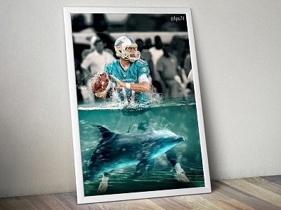 Miami Dolphins design digital art nfl photomanipulation photoshop sports brand sports marketing