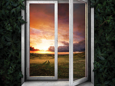 Hope for Today field green leaves nature poster print window