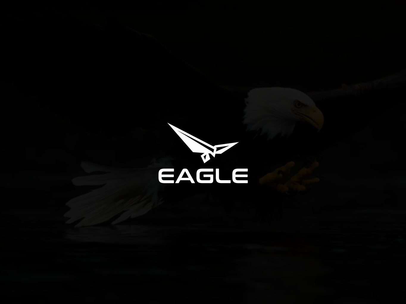 Eagle by mysto 05 on Dribbble