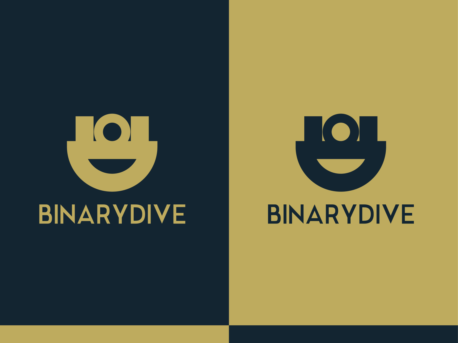 Binary Dive Logo by Zohaib Creation on Dribbble