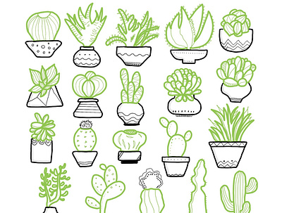 Plants and pots doodlesbyniki illustration