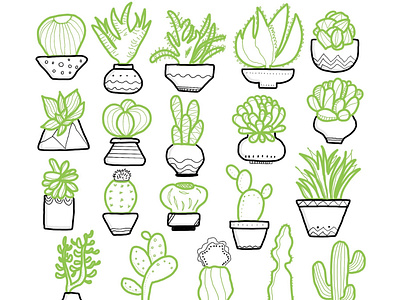 Plants and pots doodlesbyniki illustration