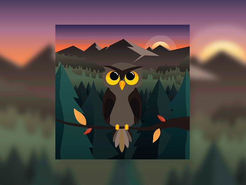The Owl at Dawn - Animated adobe animate animation forest illustration owl