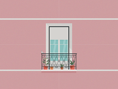 Pigeon on the balcony architecrure balcony bird bright cactus flowers glass pigeon pink vase window