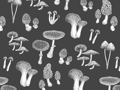 Mushroom Pattern drawing fungi illustration ink drawing mushroom mycology pattern pattern design repeat pattern surface design