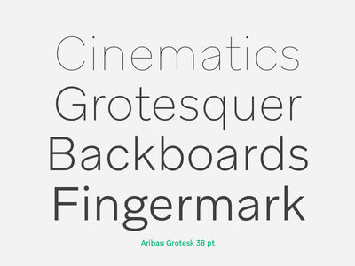 Aribau Grotesk aribau barcelona emtype font grotesk new sans