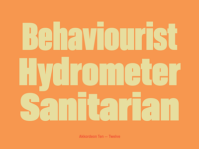 Akkordeon font family akkordeon archive font typography