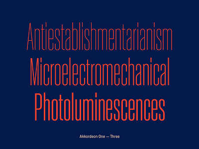 Akkordeon font family akkordeon archive font typography