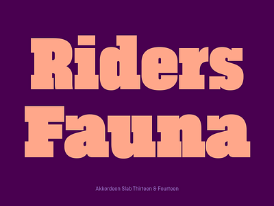 Akkordeon Slab font family akkordeon slab archive font typography