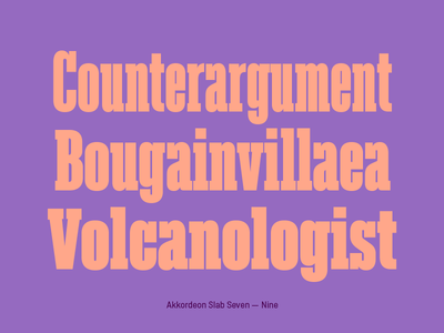 Akkordeon Slab font family akkordeon slab archive font typography