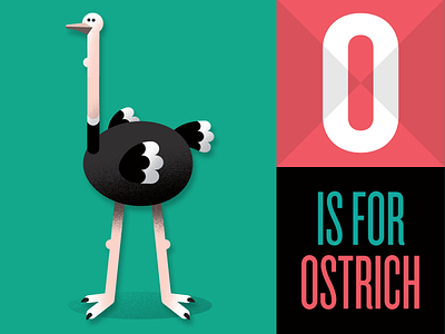 O is for Ostrich animal bird illustration ostrich