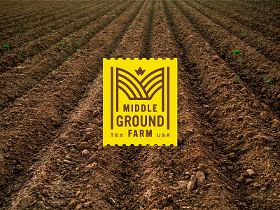 Middle Ground Farm Branding