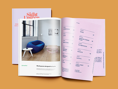 Magazine Ad—Sight Unseen ad graphic design layout magazine magazine ad
