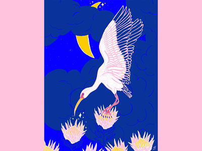 Ibis in moonlight bird emily searle emilysearle illustration king protea magic moonlight moons protea sparkle