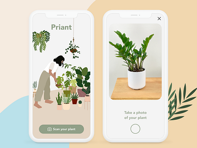 Priant aesthetic app design illustration minimal plant ui ux
