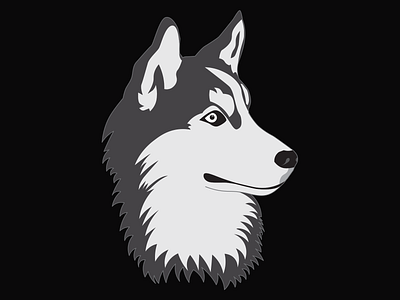 husky dog design dog husky husky dog illustration vector