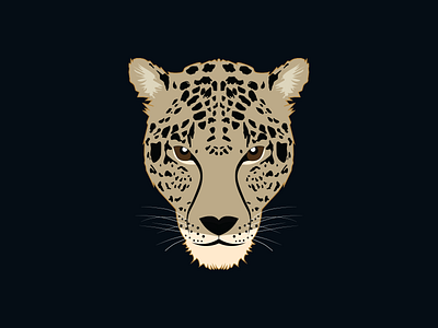 Cheetah face