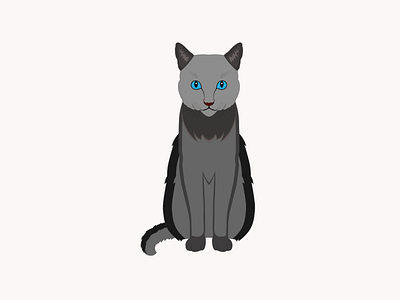 Grey cat cat cats design grey cat illustration pet pets vector