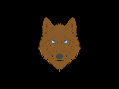 Brown wild wolf