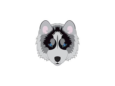 husky dog design illustration