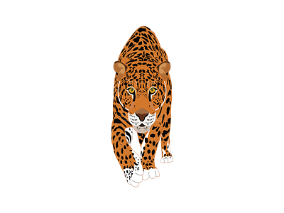 jaguar 2