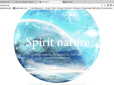 Spirit Nature art direction banner banner ads banner design brand guideline branding design ui design website concept