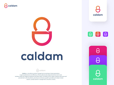 CalDam - Digital home security logo design branding