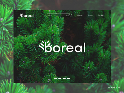 "boreal" Landing page (Logo) b logo branding design eye catching graphic green icon illustration landing page logo logo design page shorts tree logo ui ui design ux ux design vector web page design