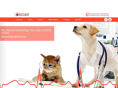Untitled 1 animal lover cat dog heart veterinarian website