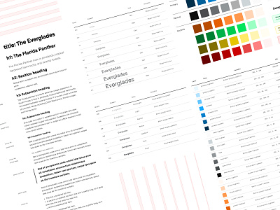 Broward County Design System accessibility color design system figma typography ui ux