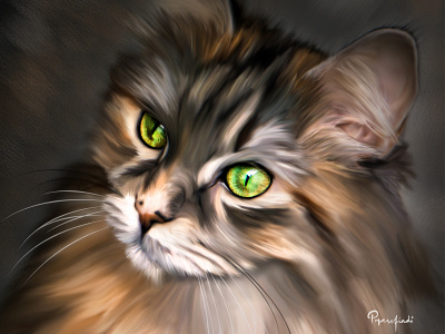 Kitty The Cat animal painting cat digital art digital painting digital portrait illustration pet